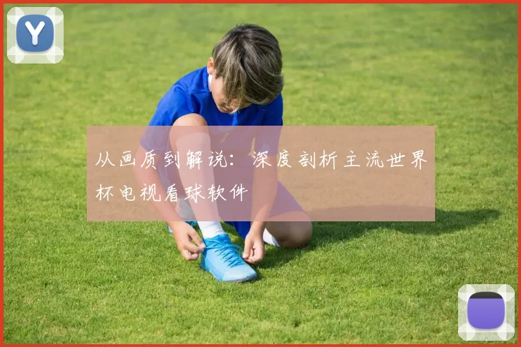 从画质到解说:深度剖析主流世界杯电视看球软件
