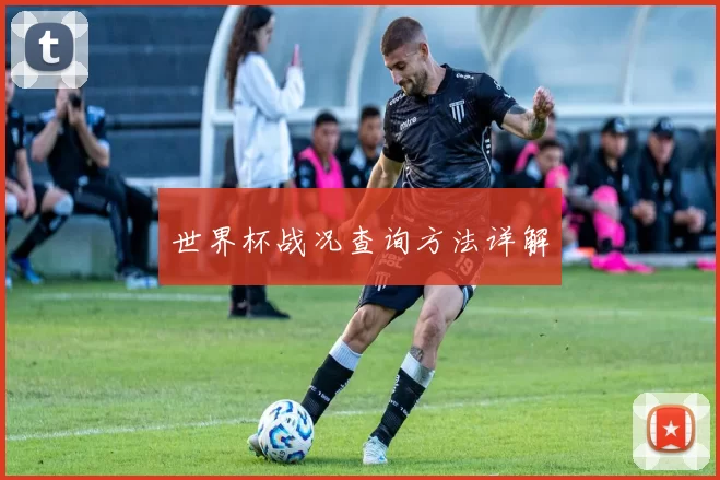世界杯战况查询方法详解