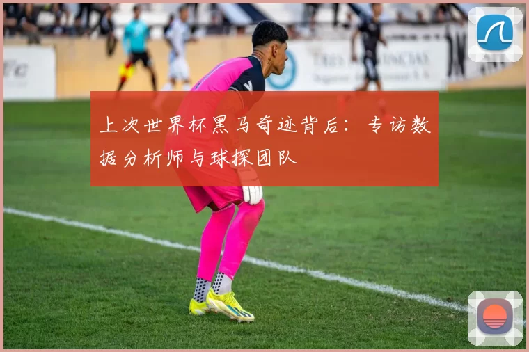 上次世界杯黑马奇迹背后:专访数据分析师与球探团队