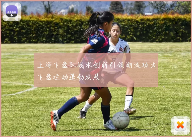 上海飞盘队战术创新引领潮流助力飞盘运动蓬勃发展