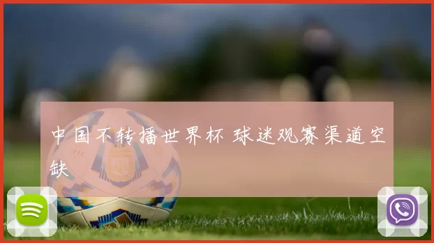 中国不转播世界杯 球迷观赛渠道空缺