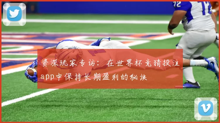 资深玩家专访：在世界杯竞猜投注app中保持长期盈利的秘诀