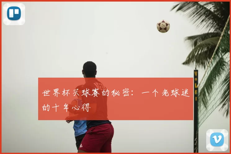 世界杯买球赛的秘密:一个老球迷的十年心得
