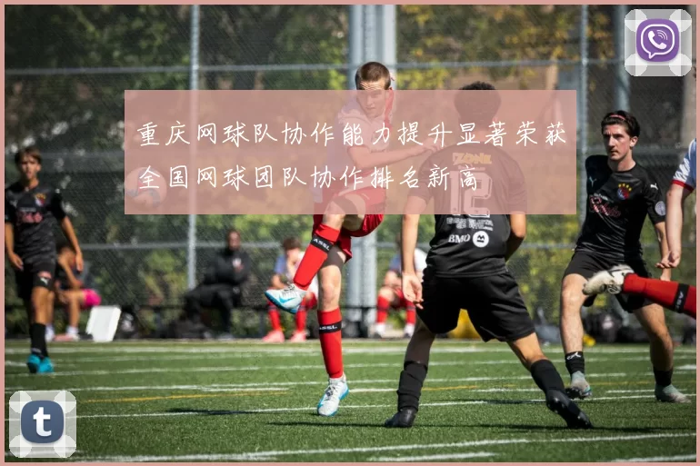 重庆网球队协作能力提升显著荣获全国网球团队协作排名新高