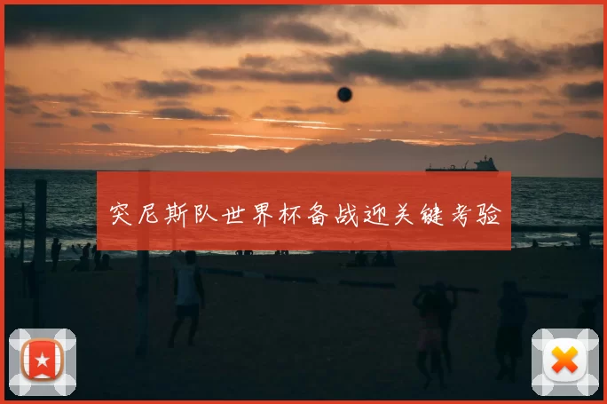 突尼斯队世界杯备战迎关键考验