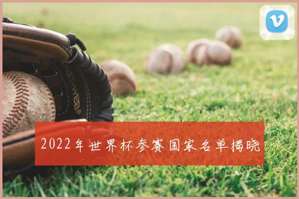 2022年世界杯参赛国家名单揭晓