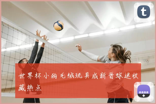 世界杯小狗毛绒玩具成新晋球迷收藏热点