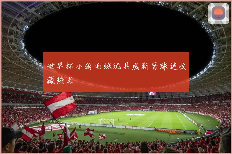 世界杯小狗毛绒玩具成新晋球迷收藏热点