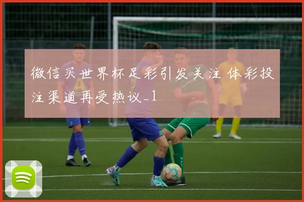微信买世界杯足彩引发关注 体彩投注渠道再受热议_1