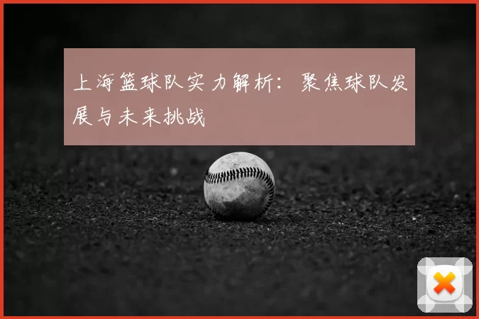 上海篮球队实力解析:聚焦球队发展与未来挑战