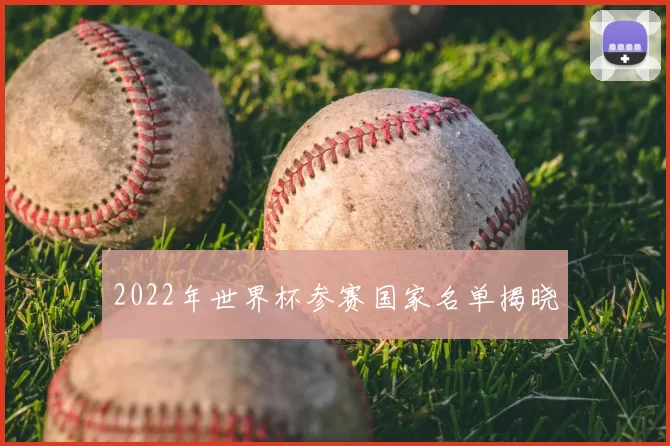2022年世界杯参赛国家名单揭晓