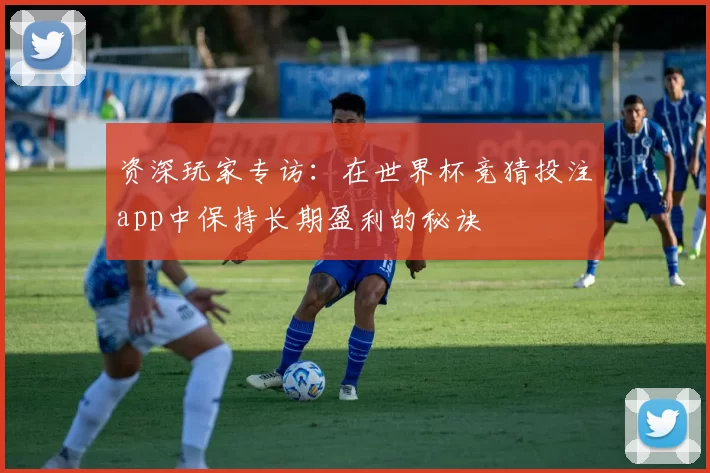 资深玩家专访:在世界杯竞猜投注app中保持长期盈利的秘诀