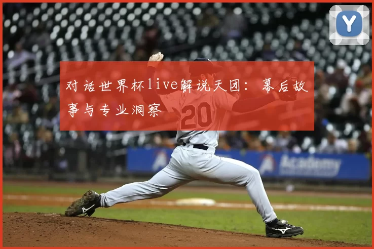 对话世界杯live解说天团：幕后故事与专业洞察
