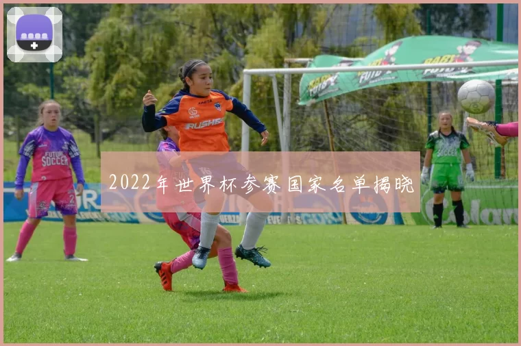 2022年世界杯参赛国家名单揭晓